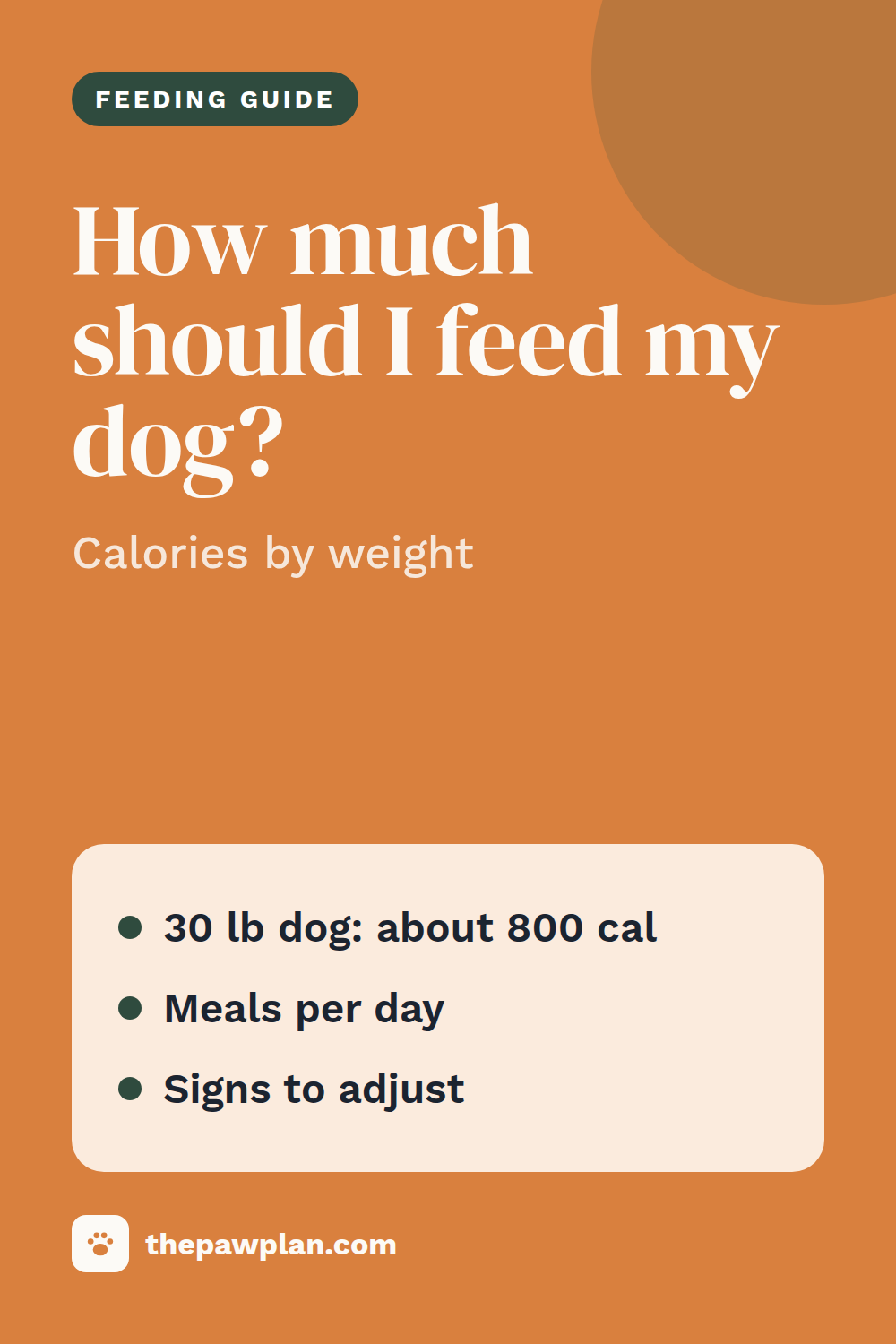 How much should I feed my dog?