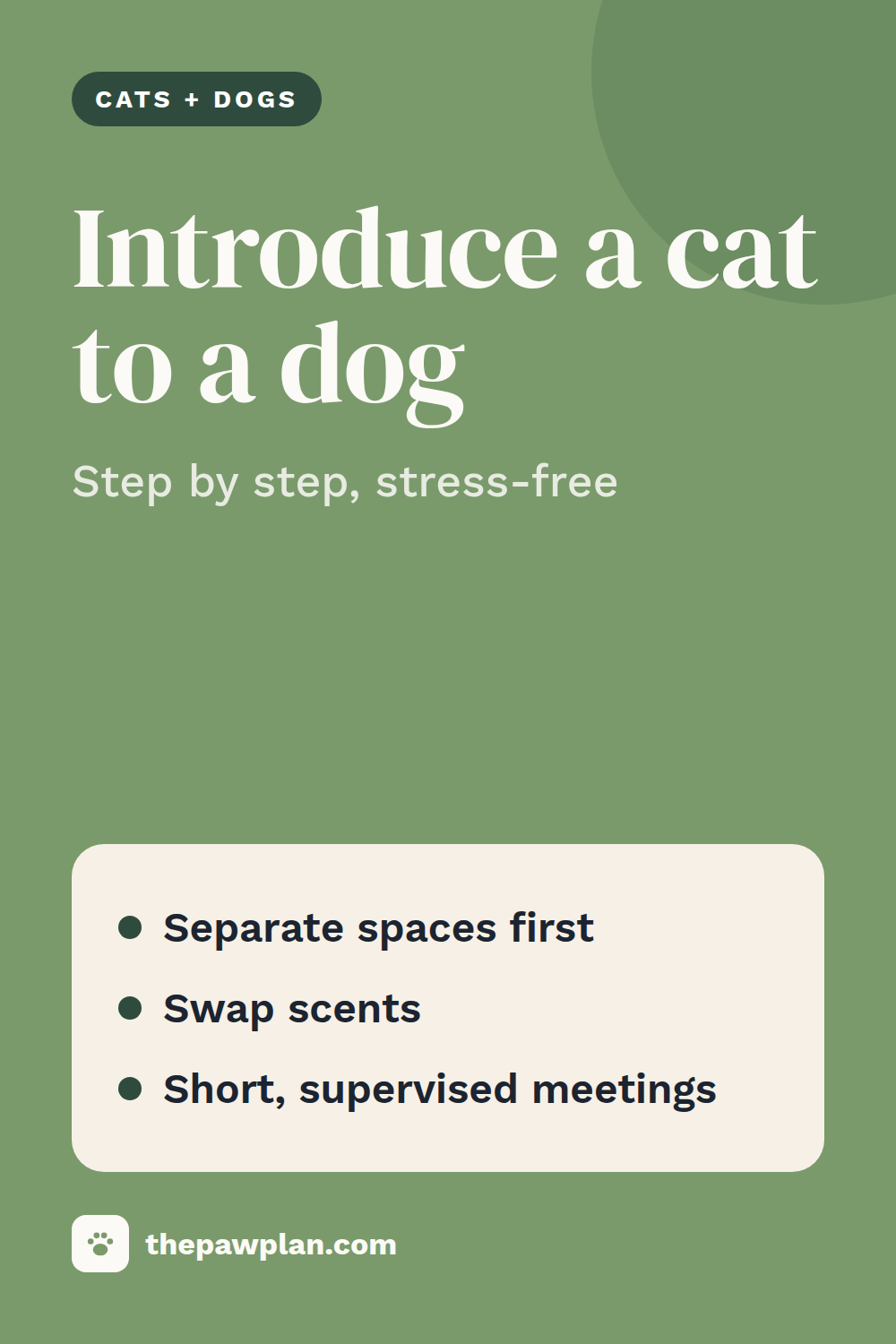 How to introduce a cat to a dog, step by step