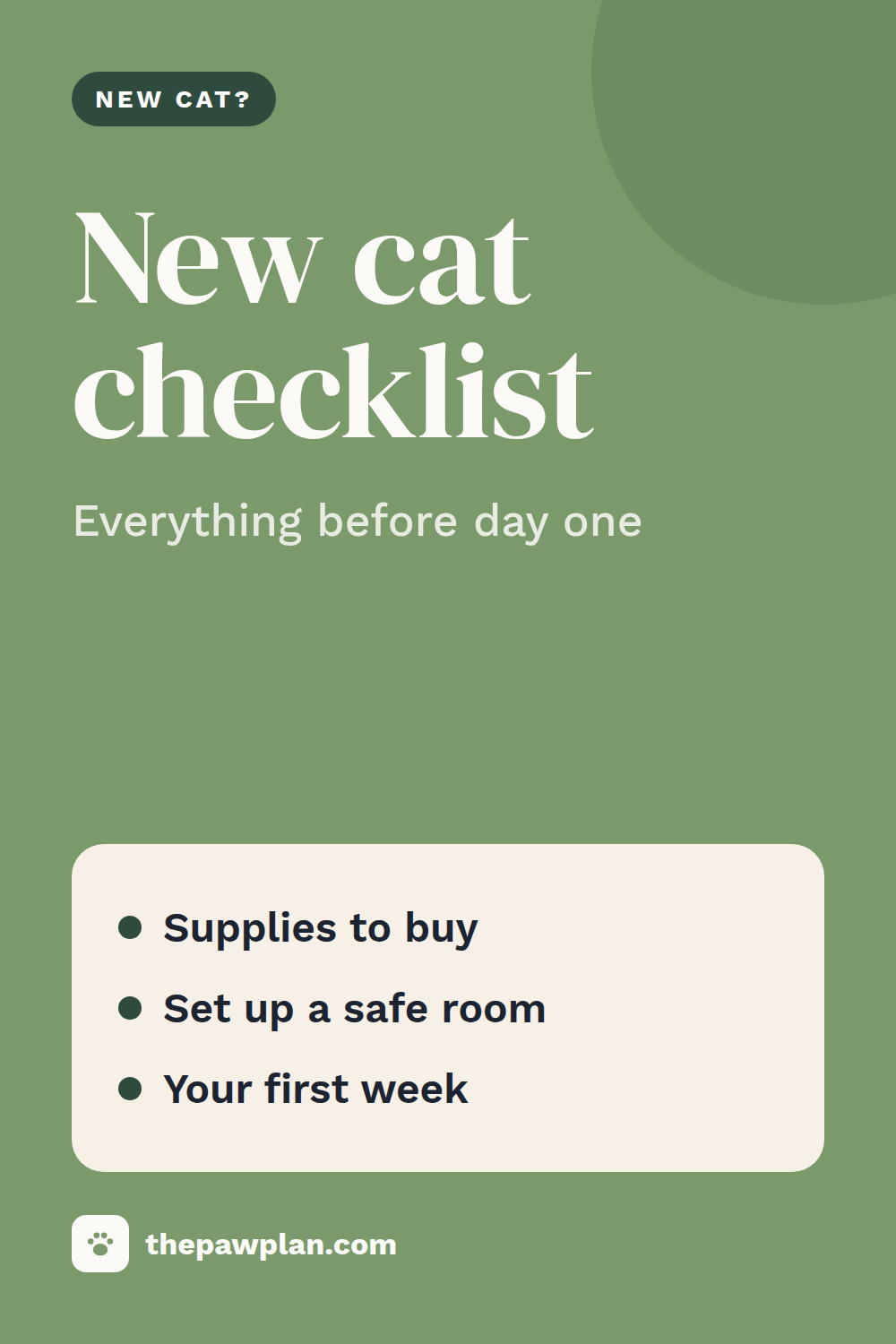 New cat checklist: everything you need before day one