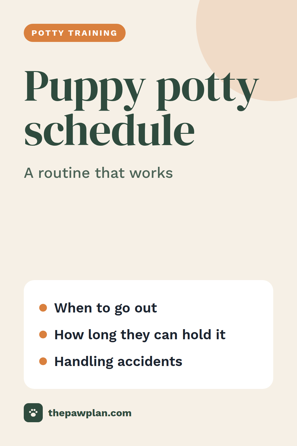 A puppy potty training schedule that works