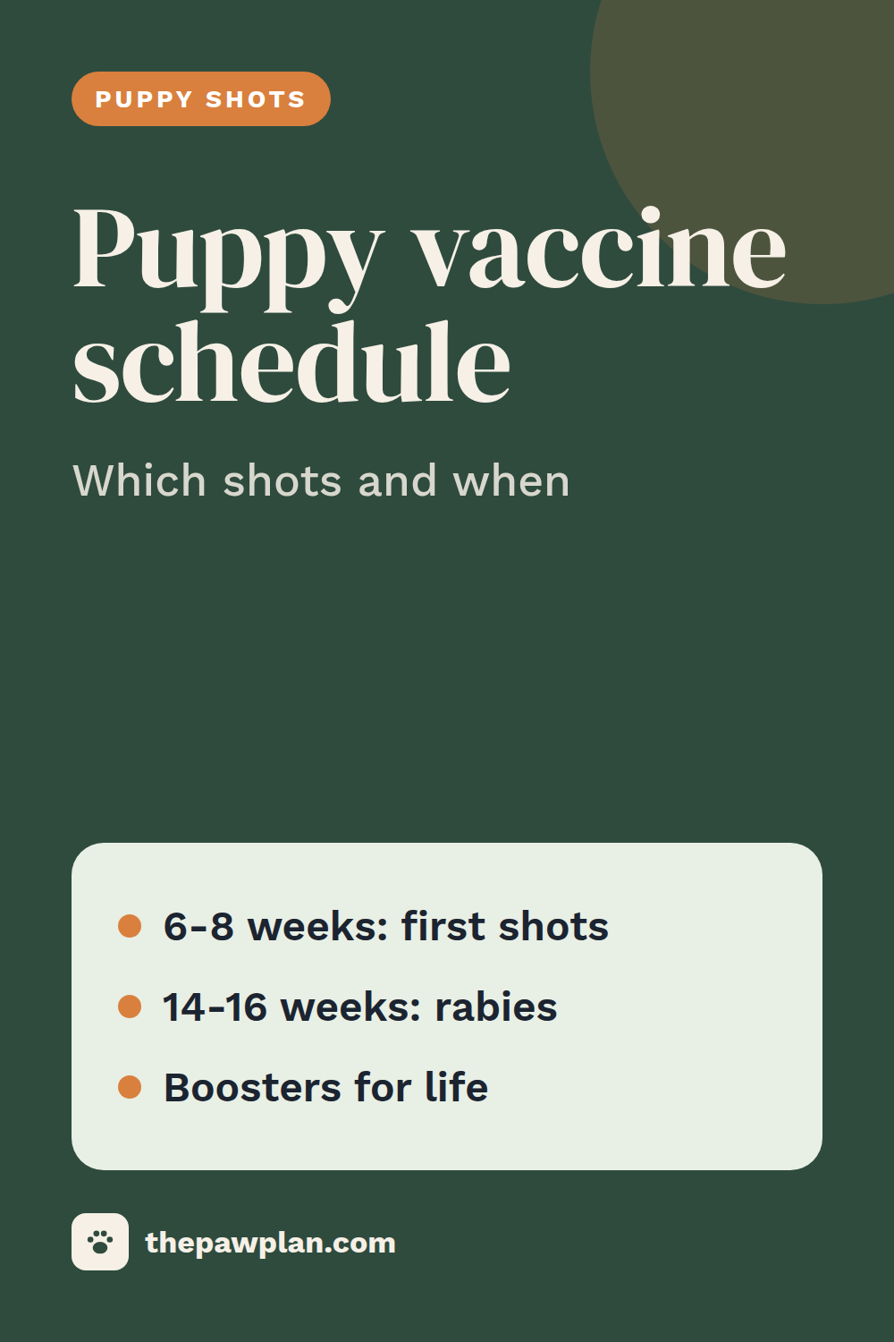 Puppy vaccination schedule: which shots and when